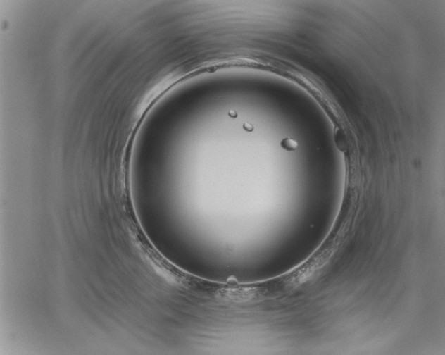 X0000064720858200602171614