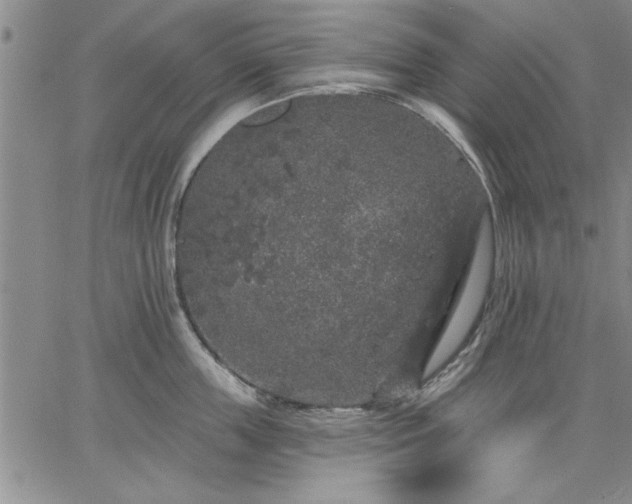 X0000064720859200602171614