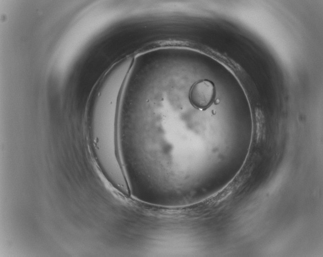 X0000064720861200602171614