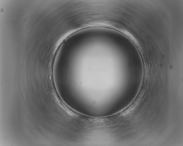 X0000064720862200602171614