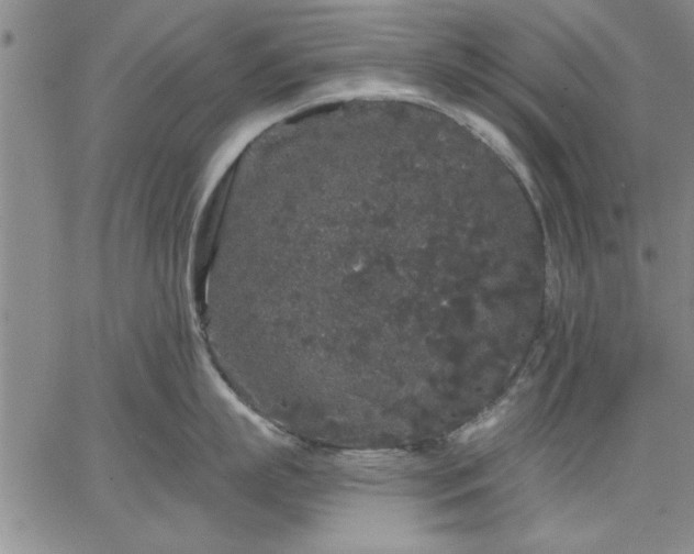 X0000064720863200602171614