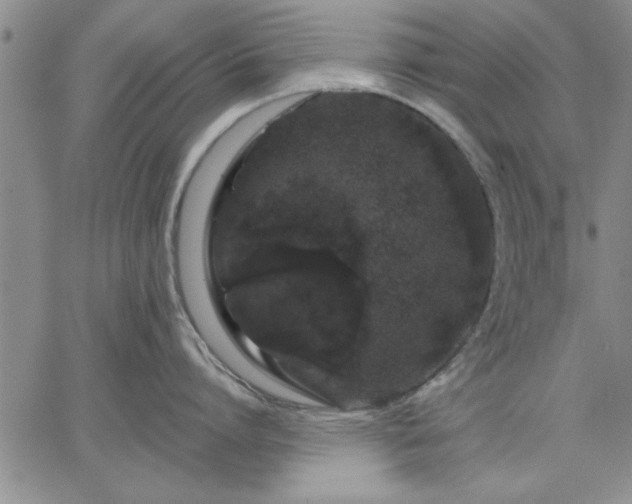 X0000064720864200602171614