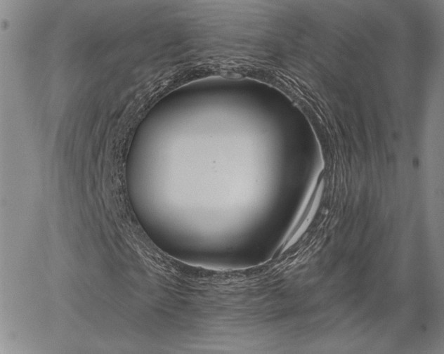 X0000064720865200602171613