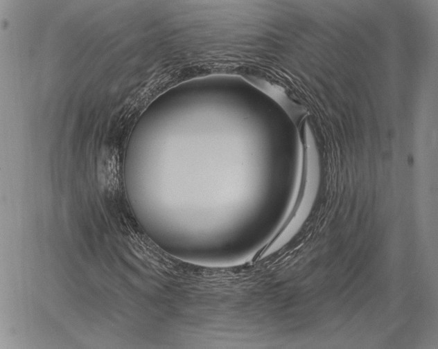 X0000064720866200602171613