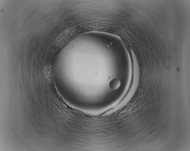 X0000064720867200602171613