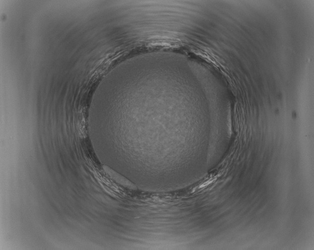 X0000064720868200602171613