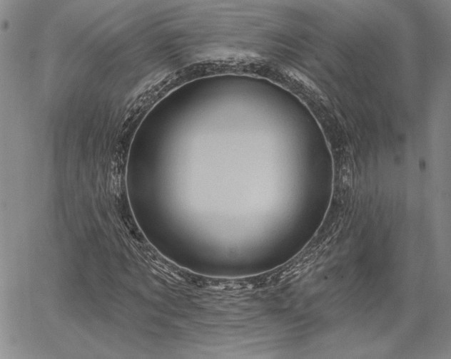 X0000064720869200602171613