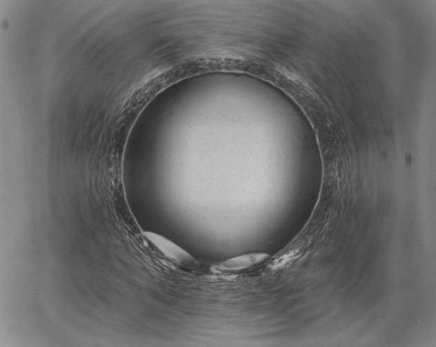 X0000064720870200602171613