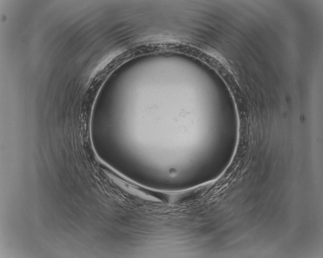 X0000064720871200602171613