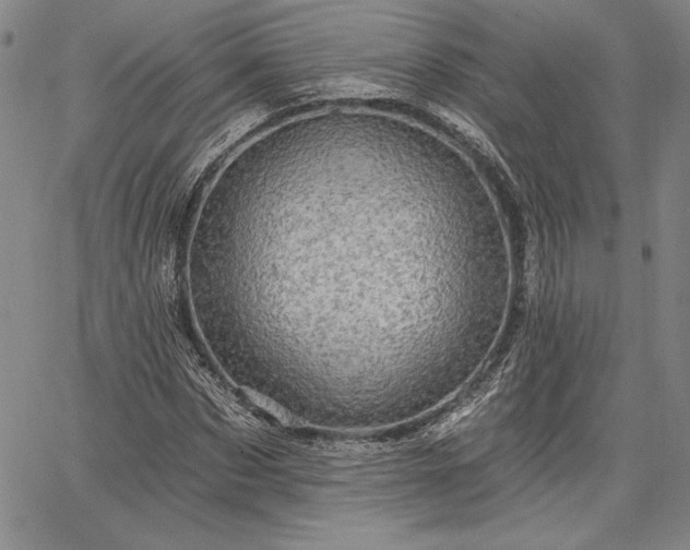 X0000064720873200602171613