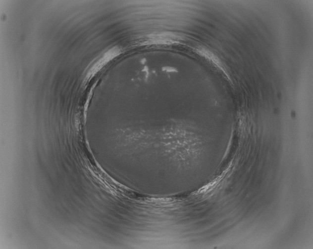 X0000064720874200602171613