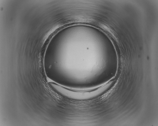 X0000064720875200602171613