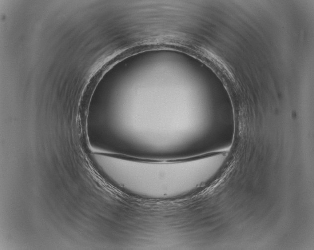 X0000064720876200602171613