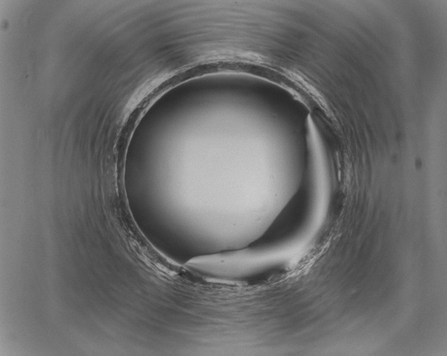 X0000064720877200602171613