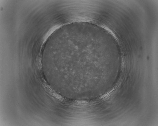 X0000064720878200602171613