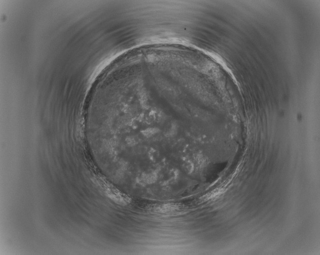 X0000064720879200602171613