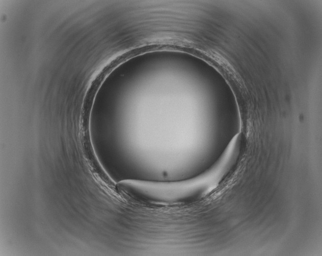 X0000064720880200602171613