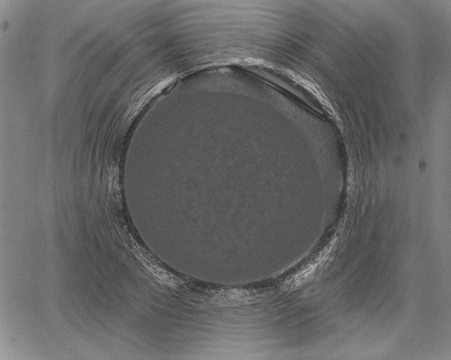 X0000064720881200602171613