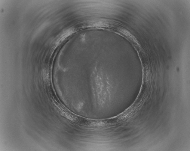 X0000064720882200602171613