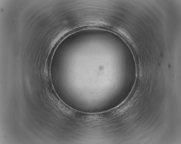 X0000064720883200602171613