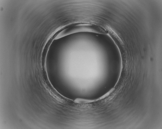 X0000064720884200602171613