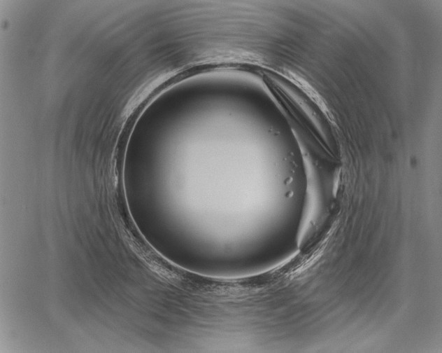 X0000064720885200602171613