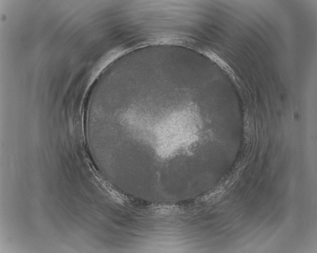 X0000064720886200602171613