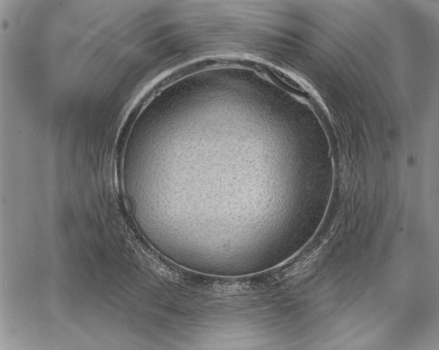 X0000064720887200602171613