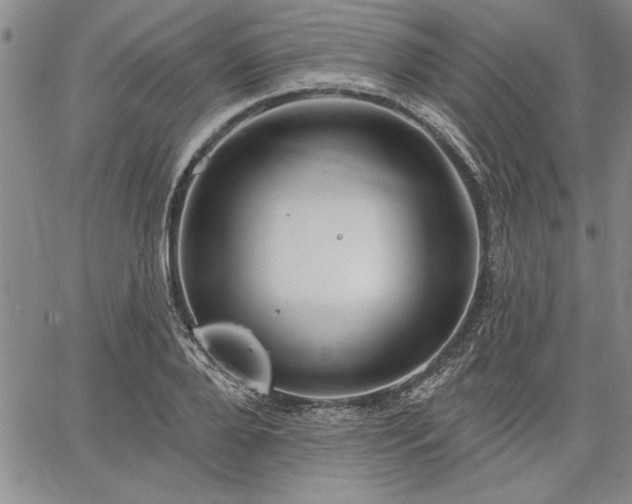 X0000064720888200602171613