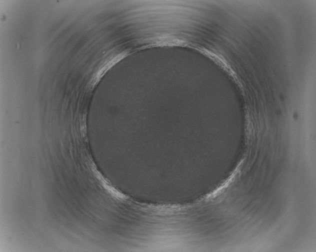 X0000064720889200602171613