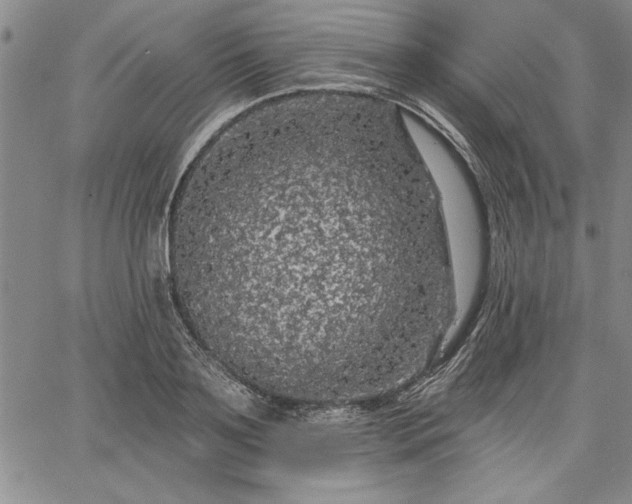 X0000064720891200602171613