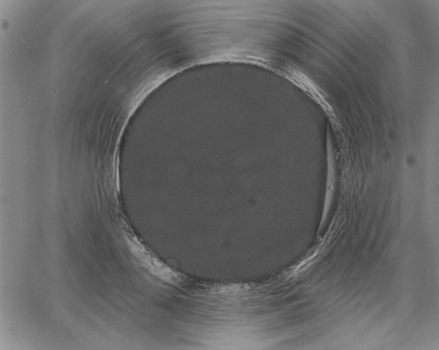 X0000064720892200602171613