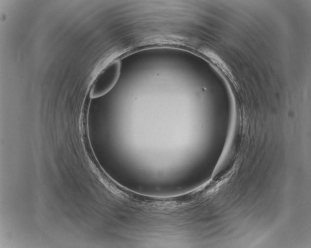 X0000064720893200602171613