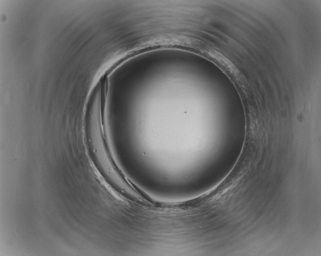 X0000064720894200602171613