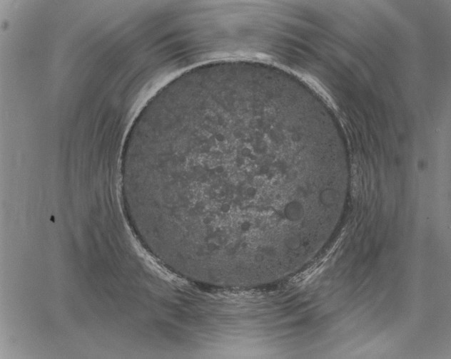 X0000064720895200602171613