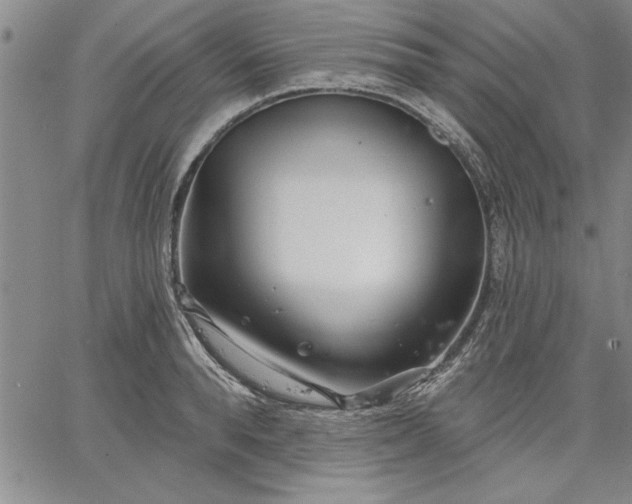 X0000064720896200602171613