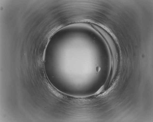 X0000064720897200602171613