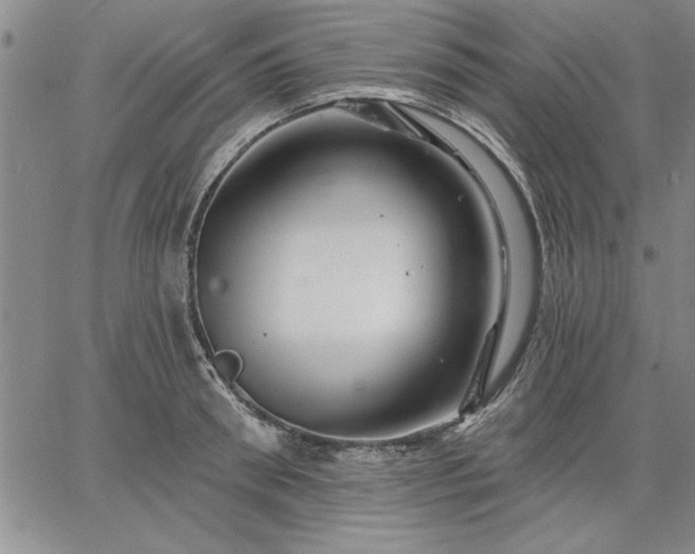 X0000064720898200602171613