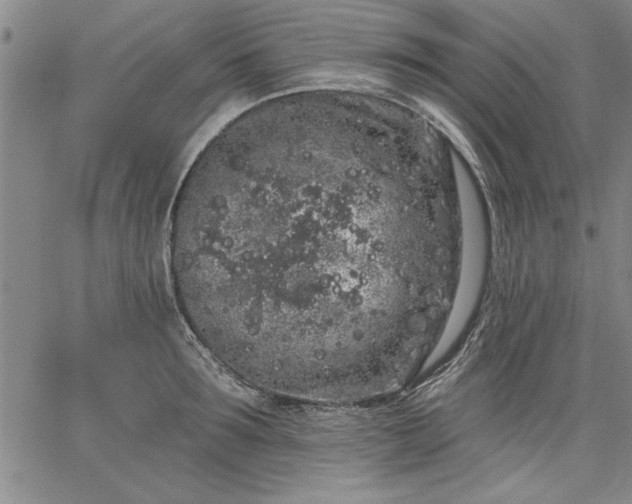 X0000064720899200602171613