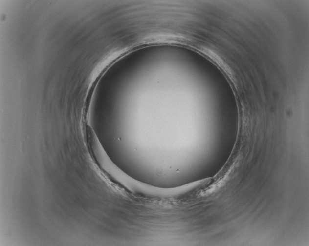 X0000064720901200602171613