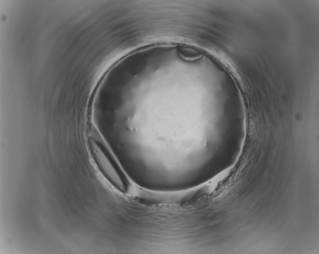 X0000064720903200602171613