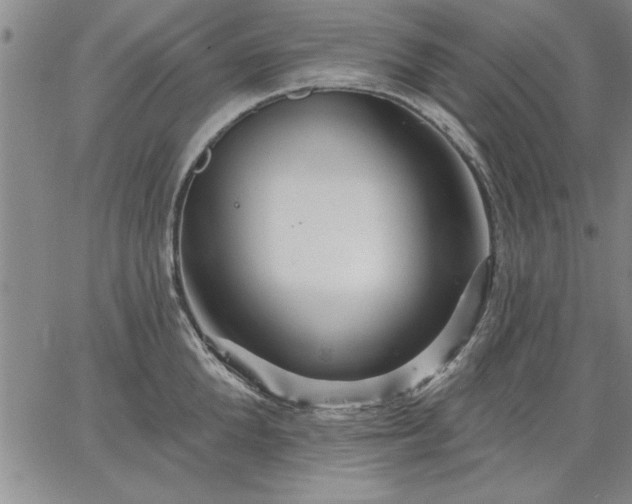 X0000064720904200602171613