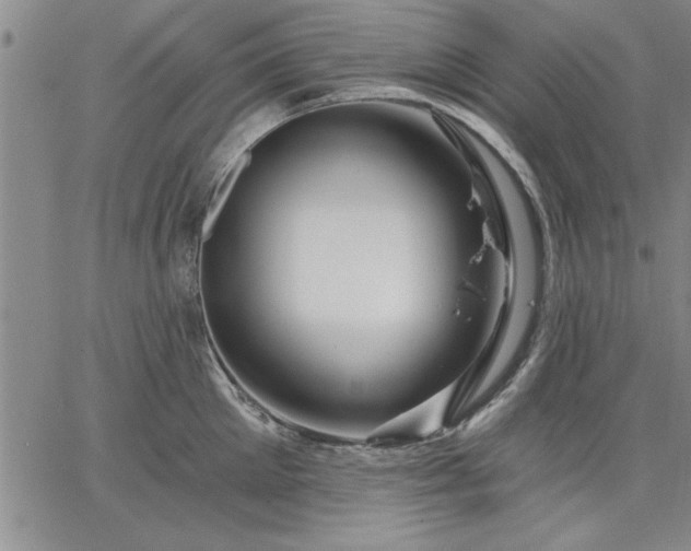 X0000064720905200602171613