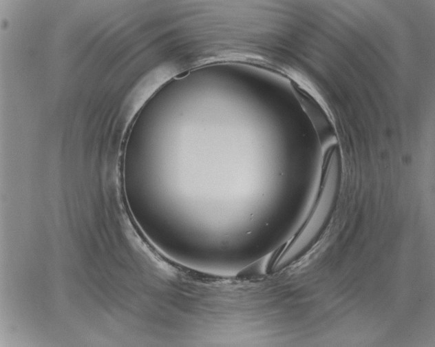 X0000064720906200602171613