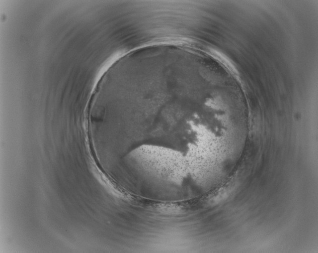 X0000064720907200602171613