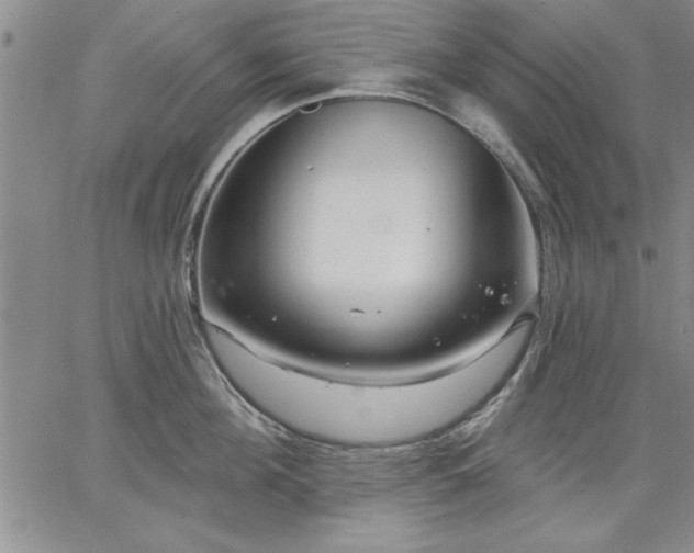 X0000064720908200602171613