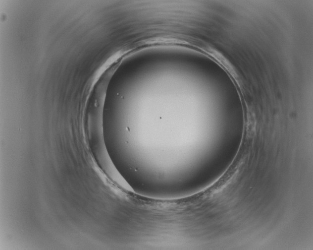 X0000064720909200602171613