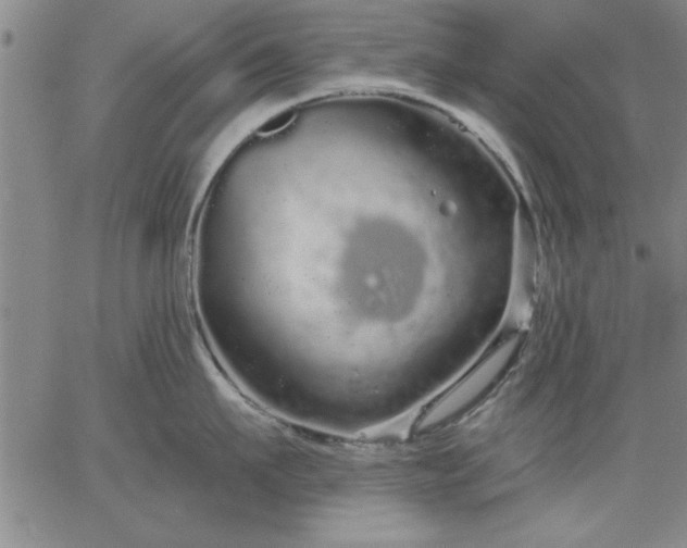 X0000064720911200602171613