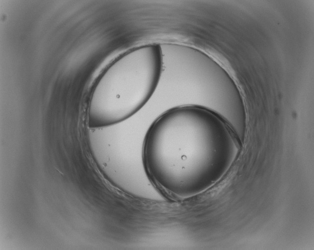 X0000064720912200602171613