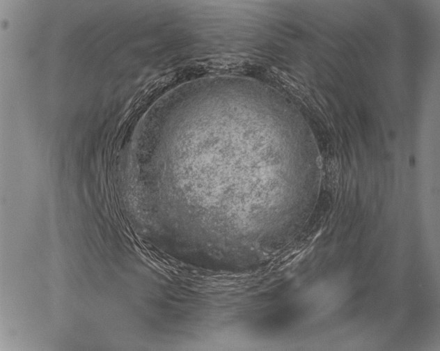 X0000064720913200602171612